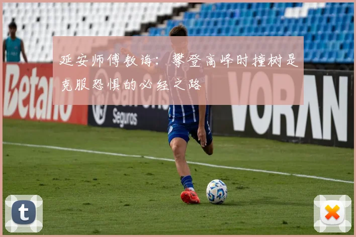 延安师傅教诲：攀登高峰时撞树是克服恐惧的必经之路